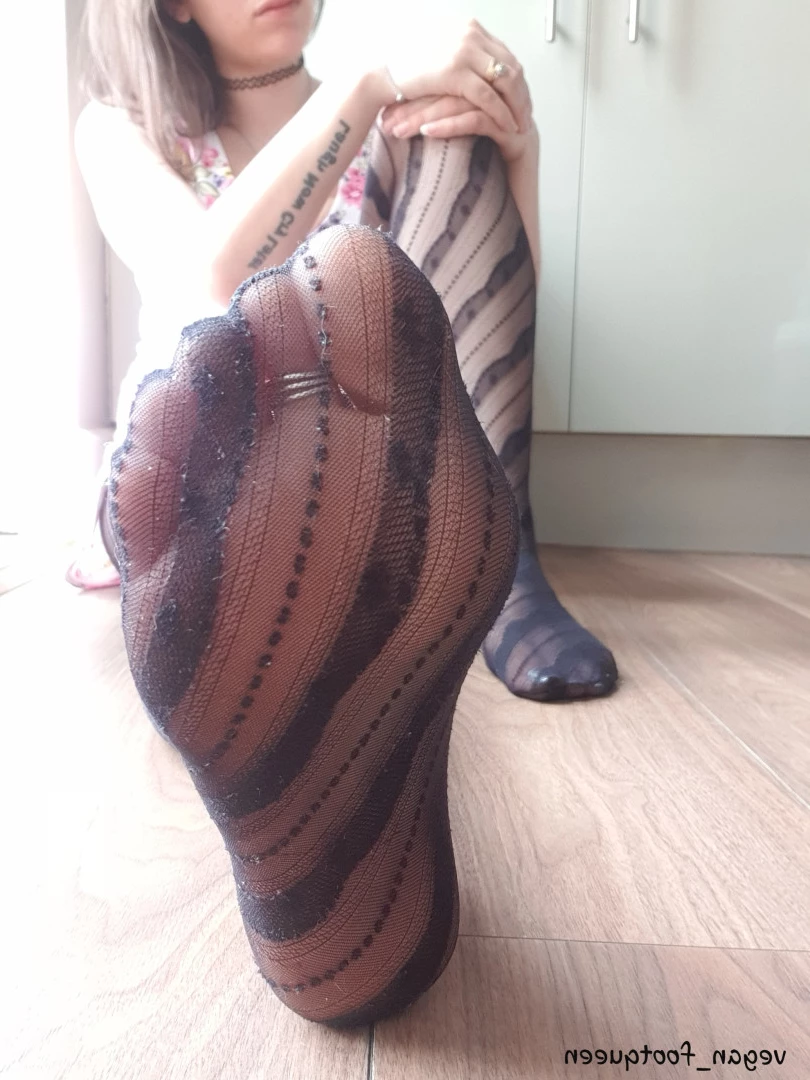vegan_footqueen Onlyfans leaked photo 10198550 on Hotleaks.tv