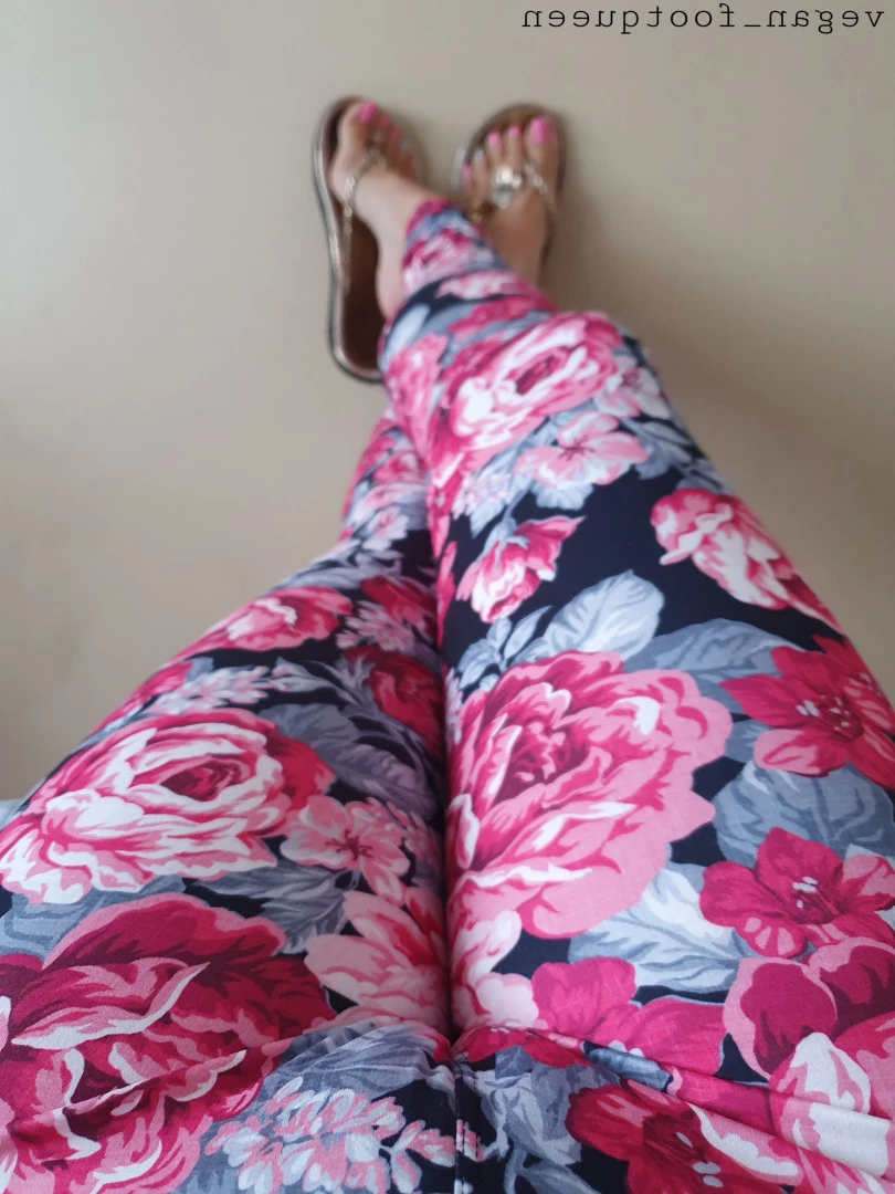 vegan_footqueen Onlyfans leaked photo 10207893 on Hotleaks.tv