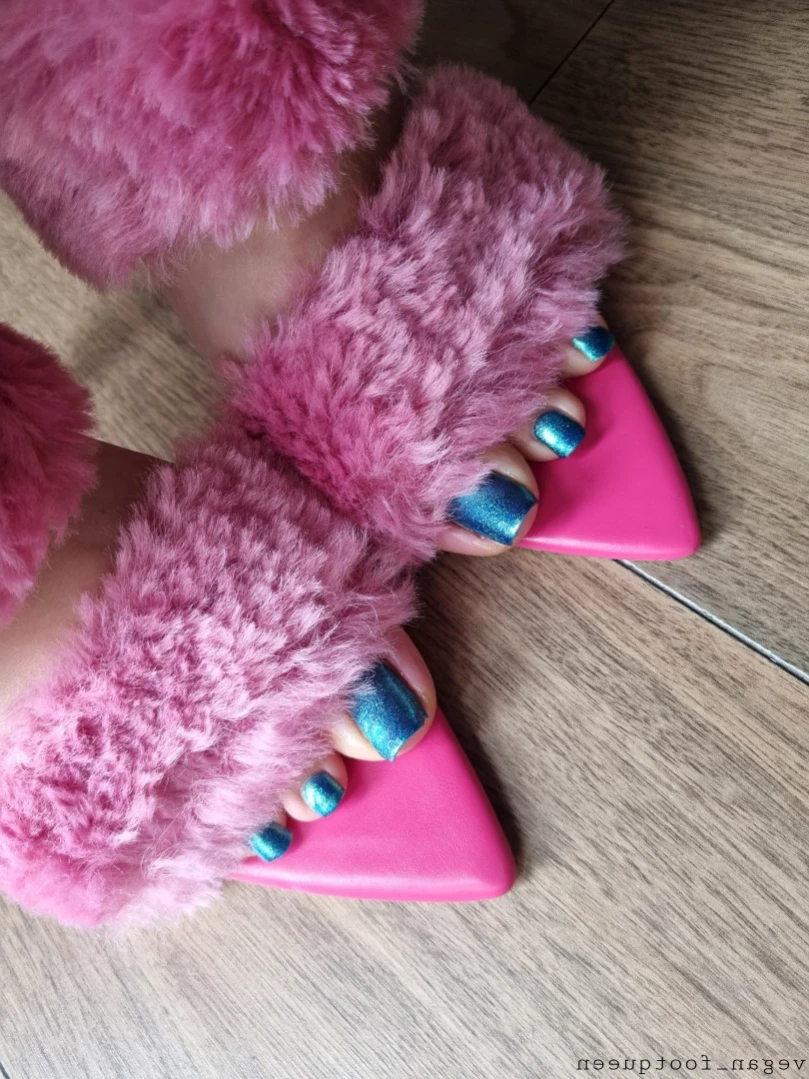 vegan_footqueen Onlyfans leaked photo 11389036 on Hotleaks.tv
