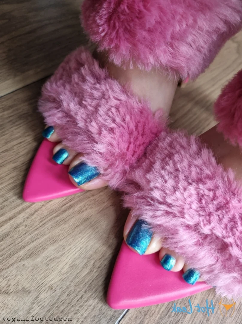 vegan_footqueen Onlyfans leaked photo 13690110 on Hotleaks.tv