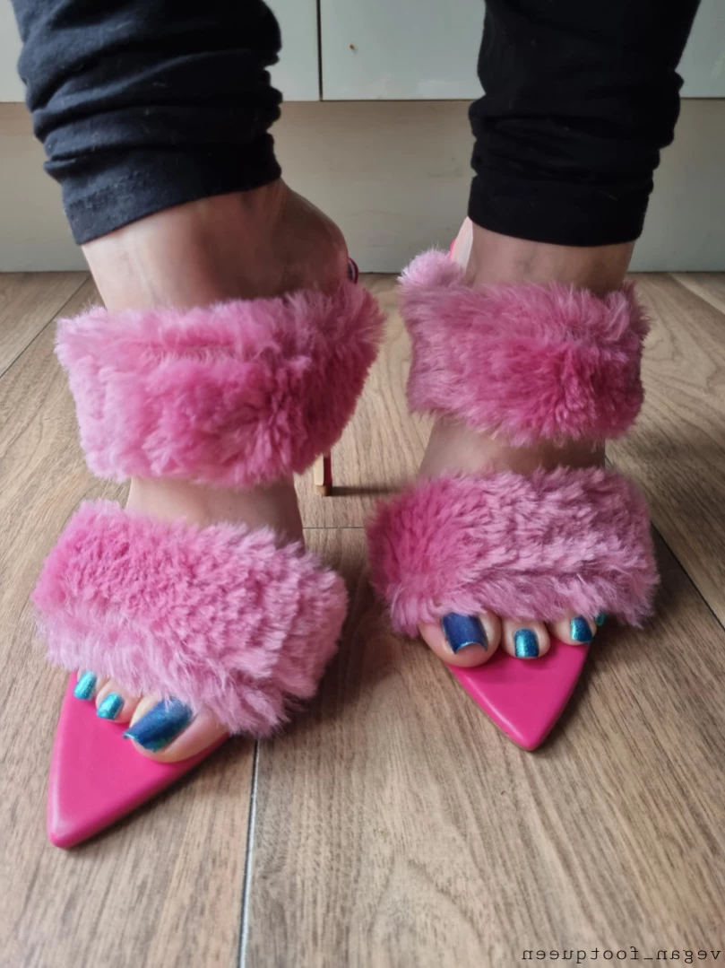 vegan_footqueen Onlyfans leaked photo 14265267 on Hotleaks.tv