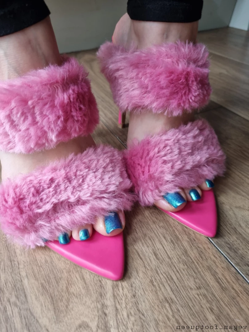 vegan_footqueen Onlyfans leaked photo 14826648 on Hotleaks.tv