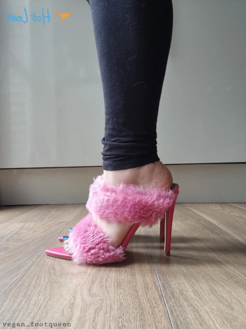 vegan_footqueen Onlyfans leaked photo 15281928 on Hotleaks.tv