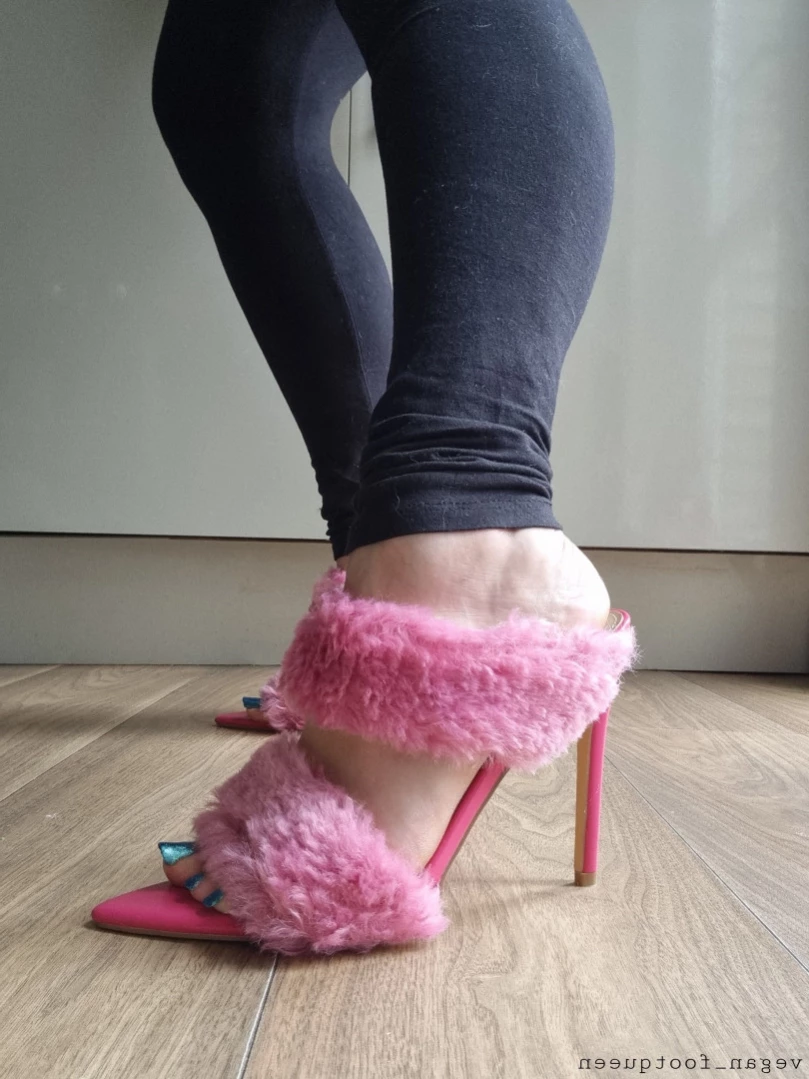 vegan_footqueen Onlyfans leaked photo 15799074 on Hotleaks.tv