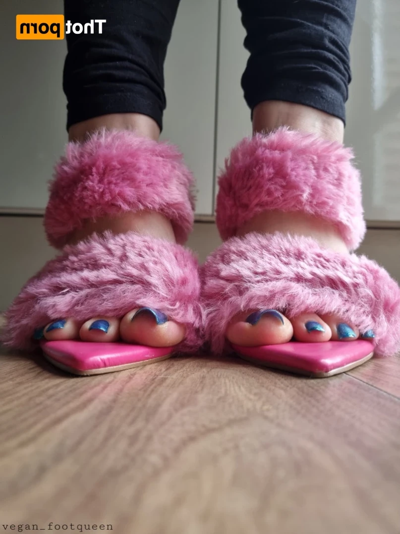 vegan_footqueen Onlyfans leaked photo 16058748 on Hotleaks.tv