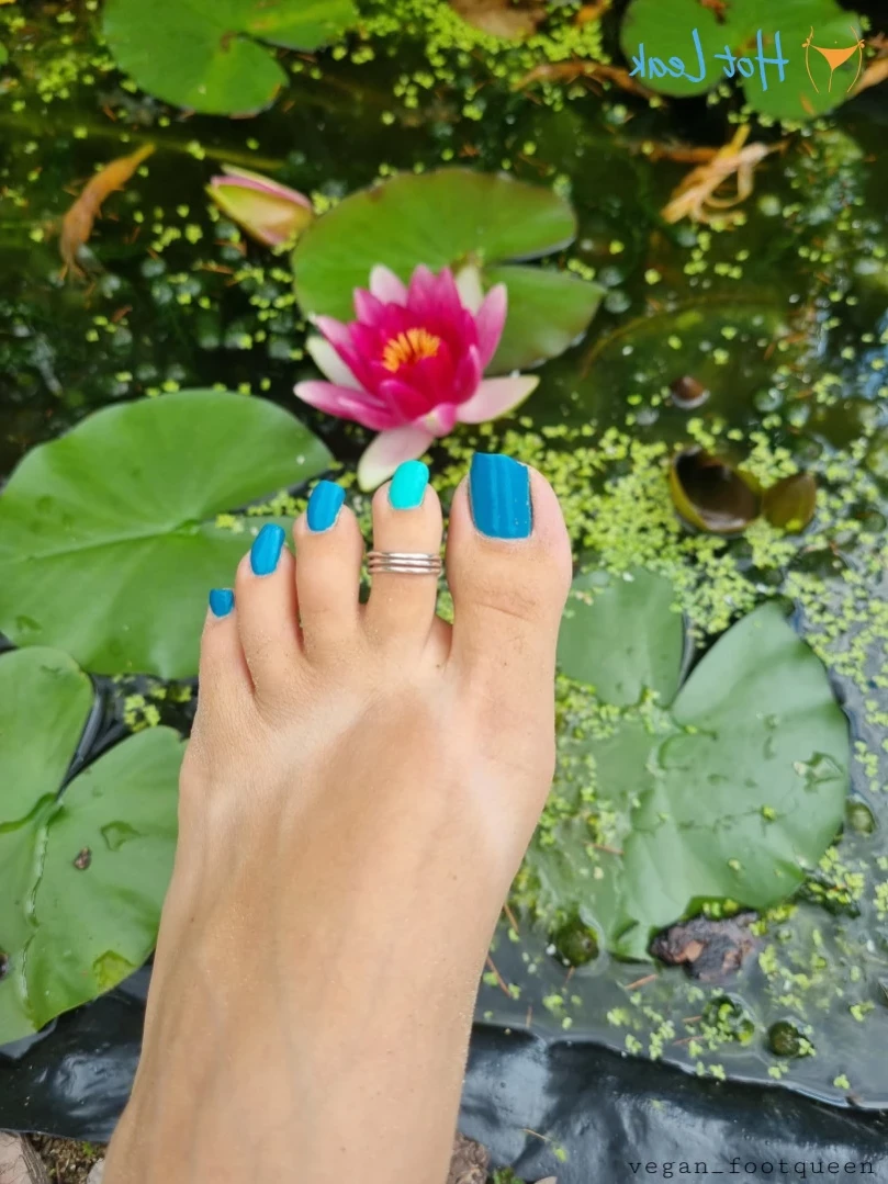 vegan_footqueen Onlyfans leaked photo 16495567 on Hotleaks.tv