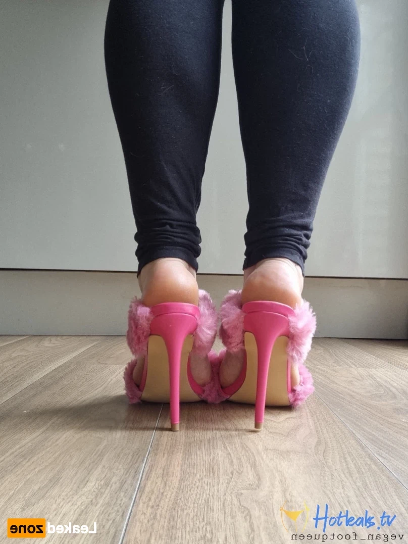 vegan_footqueen Onlyfans leaked photo 16496960 on Hotleaks.tv