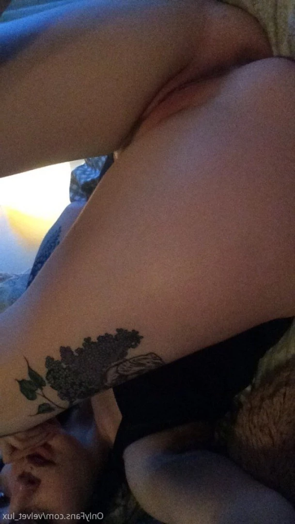 Velvet [ velvet_lux ] Onlyfans leaked photo 9719637 on Hotleaks.tv