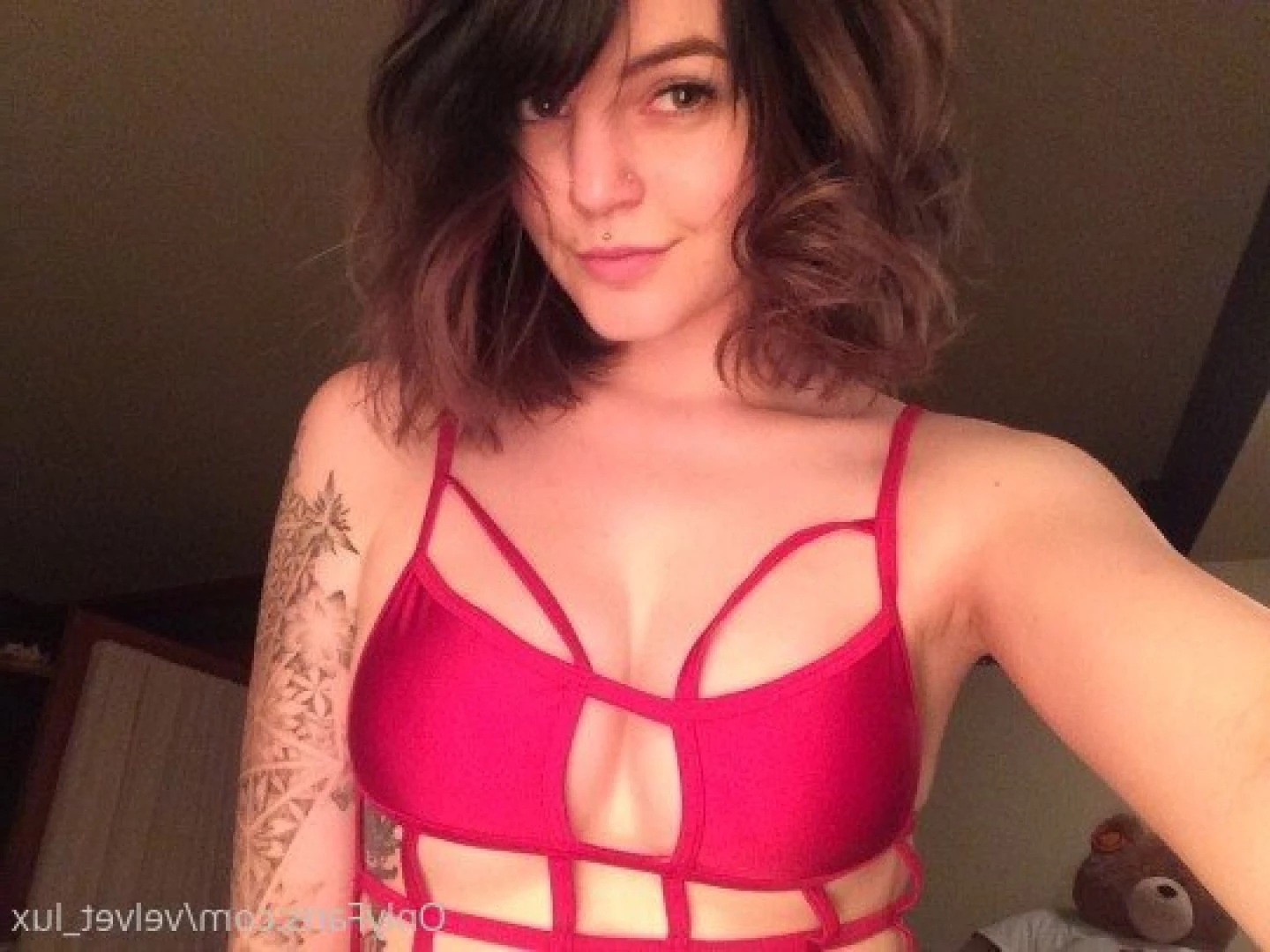 Velvet [ velvet_lux ] Onlyfans leaked photo 9721135 on Hotleaks.tv