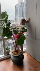 Veronica Rae [ veronicarae ] Onlyfans leaked video 7919935 on Hotleaks.tv
