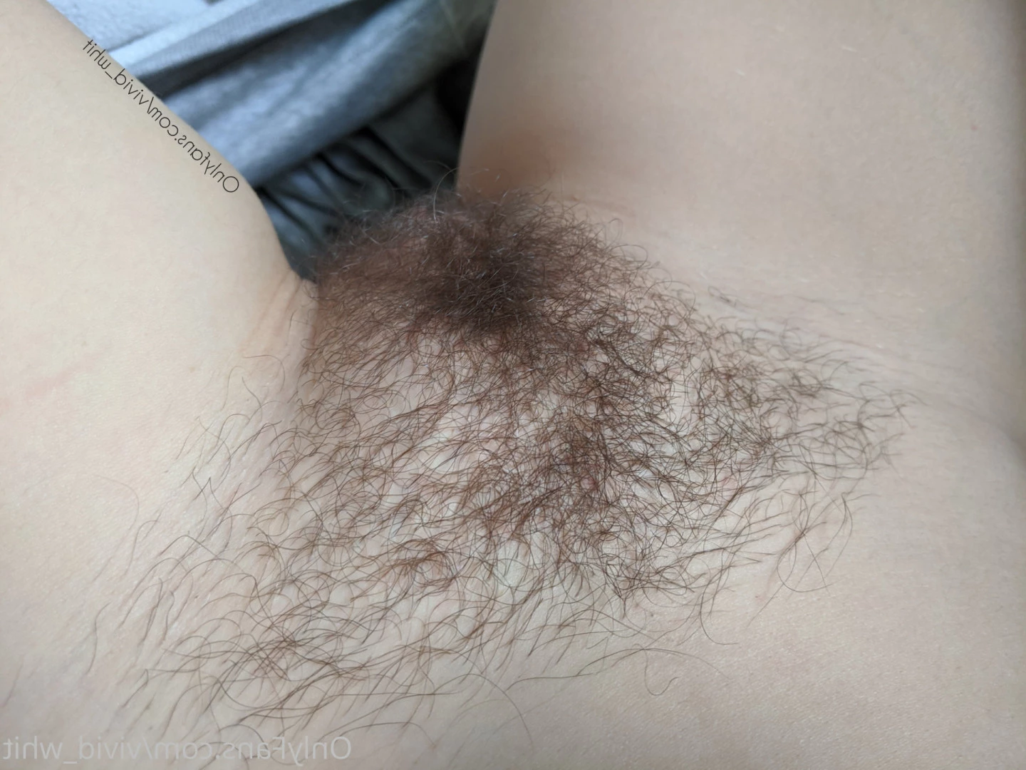 Whit Maxwell [ vivid_whit ] Onlyfans leaked photo 9228607 on Hotleaks.tv