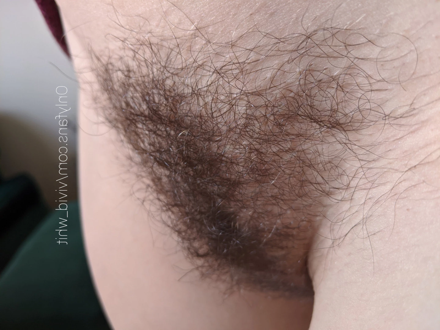 Whit Maxwell [ vivid_whit ] Onlyfans leaked photo 9239847 on Hotleaks.tv