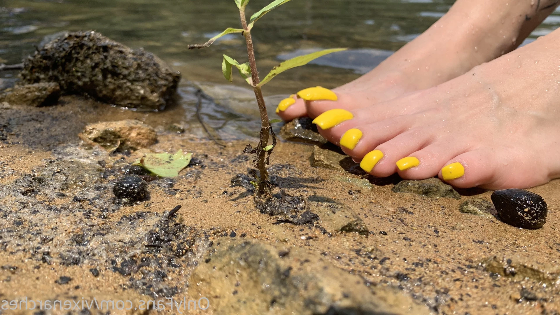 Vixen Arches [ vixenarches ] Onlyfans leaked photo 8985943 on Hotleaks.tv