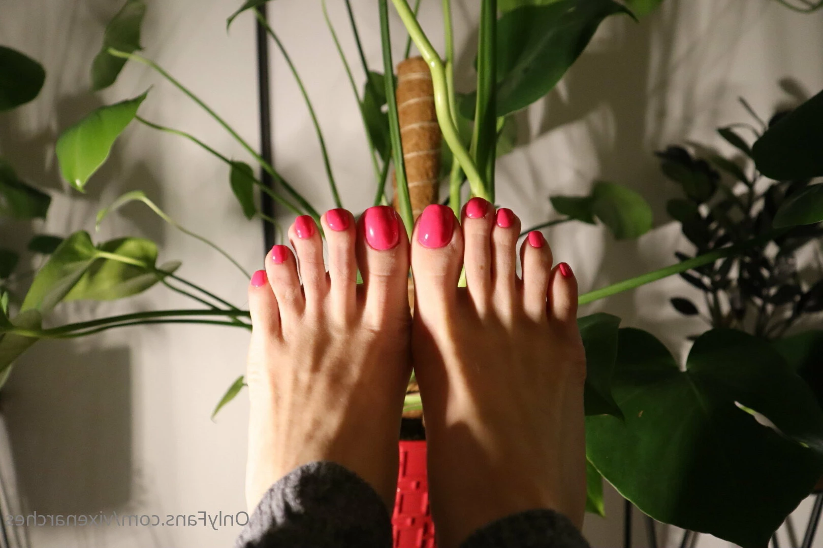 Vixen Arches [ vixenarches ] Onlyfans leaked photo 8985985 on Hotleaks.tv