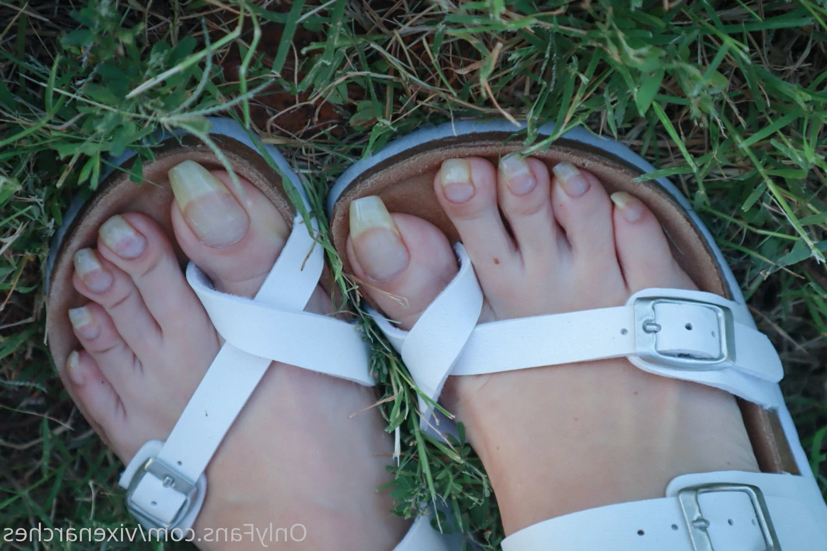 Vixen Arches [ vixenarches ] Onlyfans leaked photo 8991800 on Hotleaks.tv