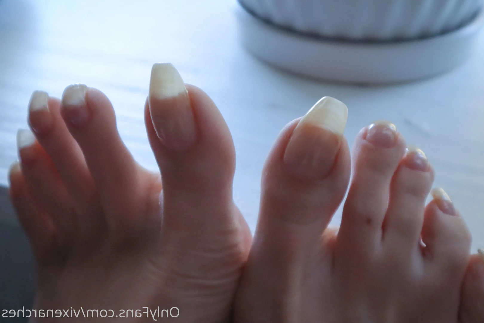 Vixen Arches [ vixenarches ] Onlyfans leaked photo 8995083 on Hotleaks.tv