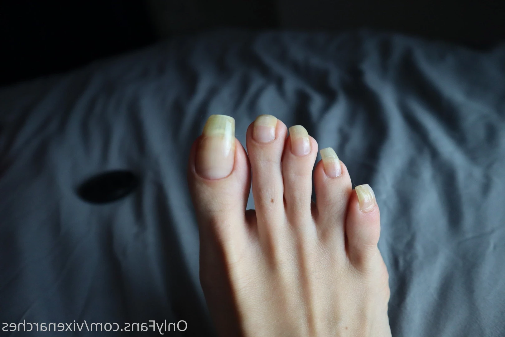 Vixen Arches [ vixenarches ] Onlyfans leaked photo 8998754 on Hotleaks.tv