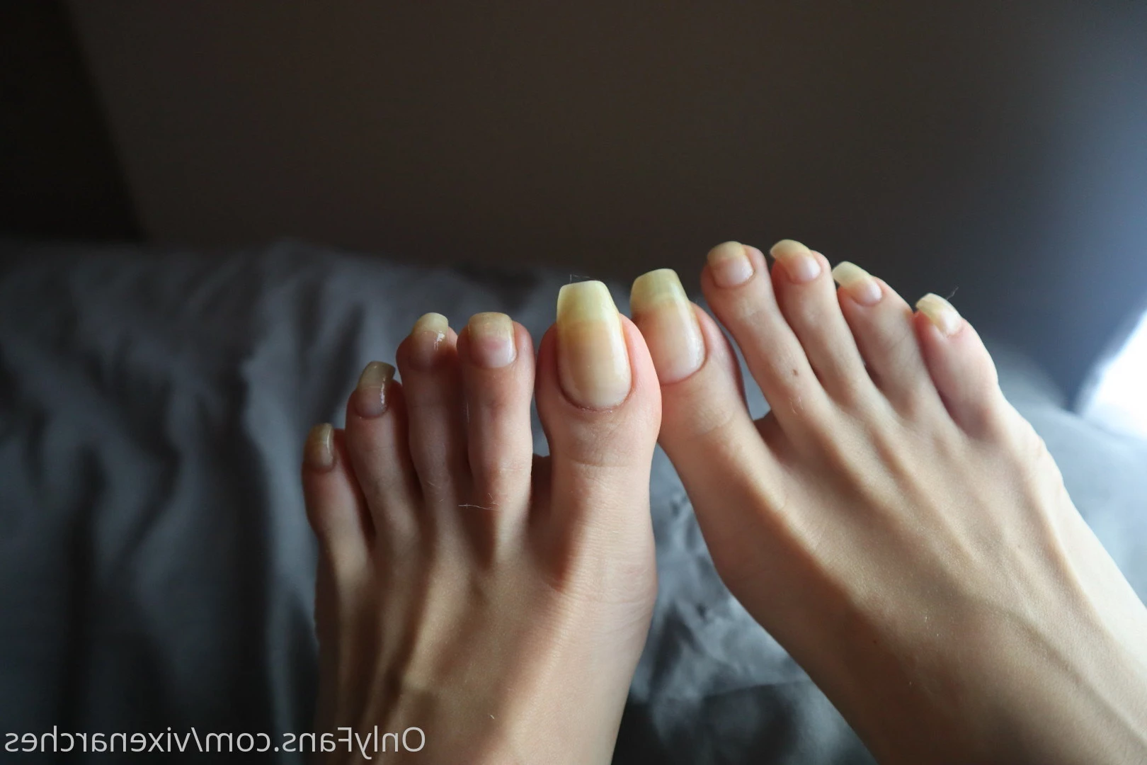 Vixen Arches [ vixenarches ] Onlyfans leaked photo 9006695 on Hotleaks.tv