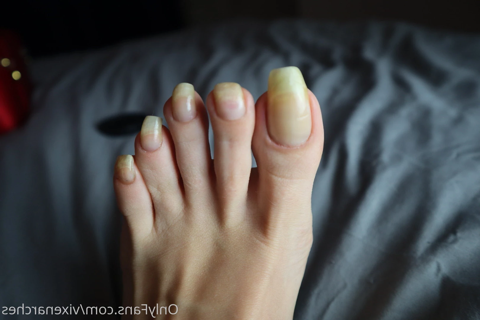 Vixen Arches [ vixenarches ] Onlyfans leaked photo 9011198 on Hotleaks.tv