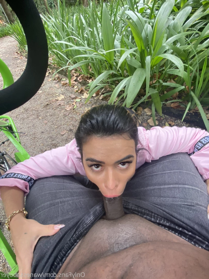 Wanessa Boyer [ wanessaboyer ] Onlyfans leaked photo 16097859 on Hotleaks.tv
