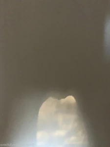 16274262