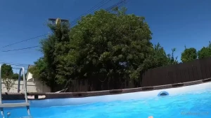 wildfoxxx Onlyfans leaked video 7908406 on Hotleaks.tv