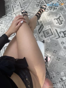 16211526