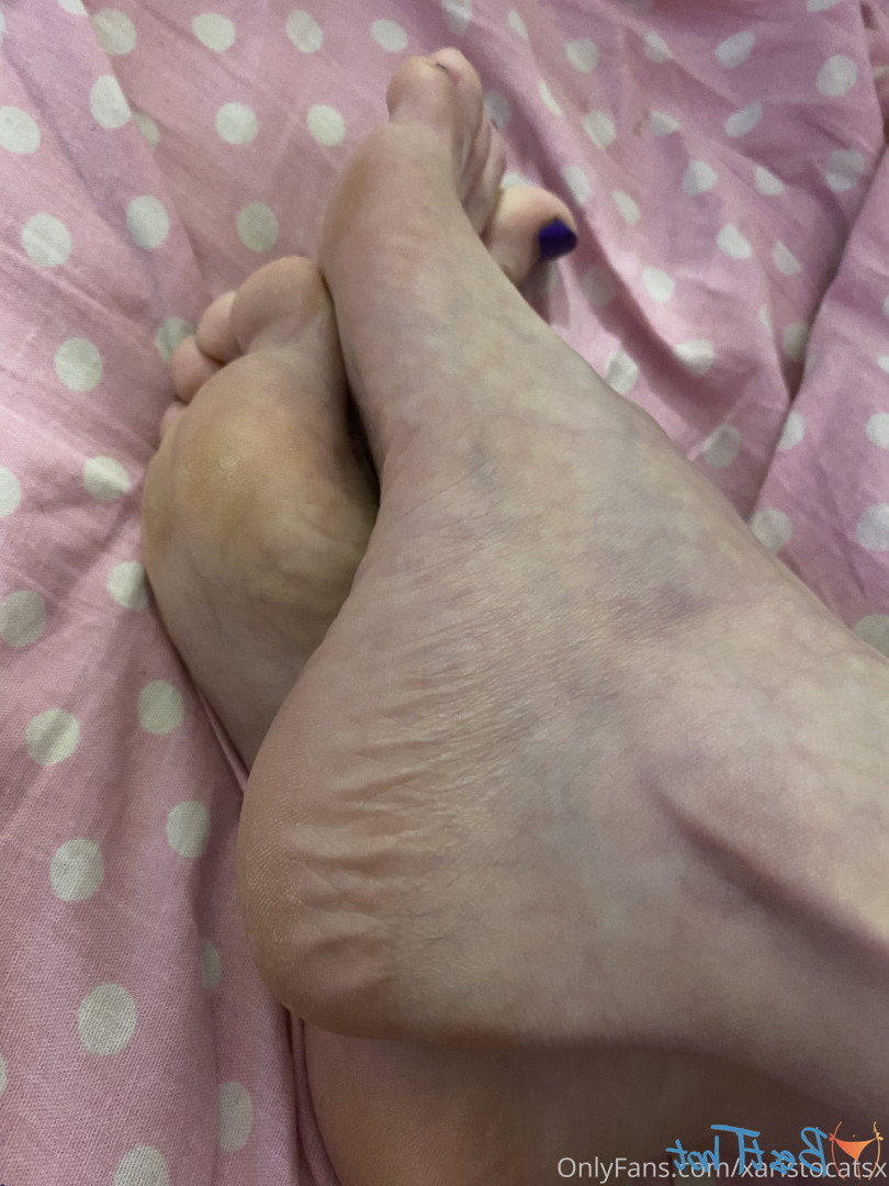 YOURLADYBABY [ xaristocatsx ] Onlyfans leaked photo 17101329 on Hotleaks.tv