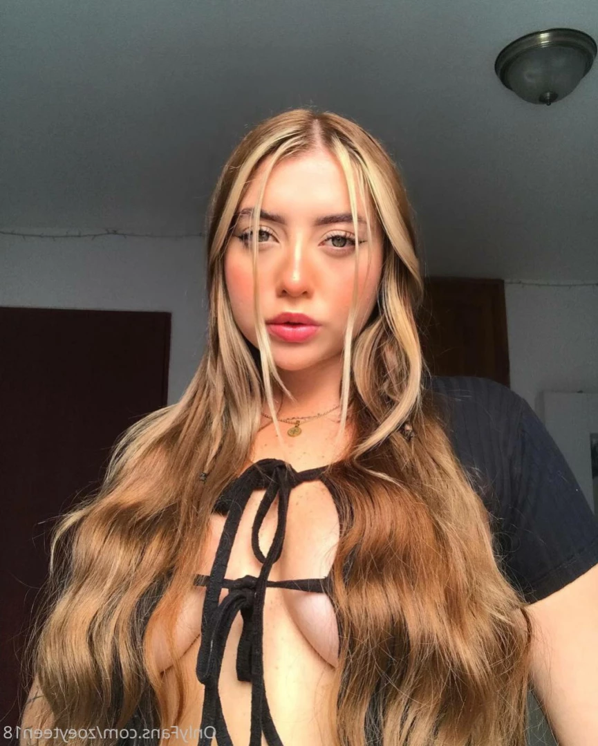 Zoeyteen [ zoeyteen18 ] Onlyfans leaked photo 11429146 on Hotleaks.tv