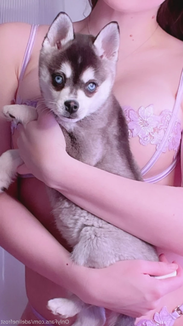 Adeline Frost [ adelinefrost ] Onlyfans leaked photo 14019414 on Hotleaks.tv