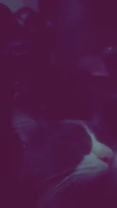 aj180 Onlyfans leaked video 13765060 on Hotleaks.tv