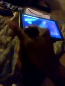aj180 Onlyfans leaked video 15708169 on Hotleaks.tv