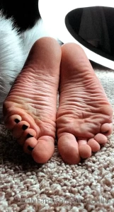 Goddess Alessa [ alescoulier ] Onlyfans leaked video 10514102 on Hotleaks.tv
