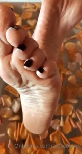 Goddess Alessa [ alescoulier ] Onlyfans leaked video 10514142 on Hotleaks.tv
