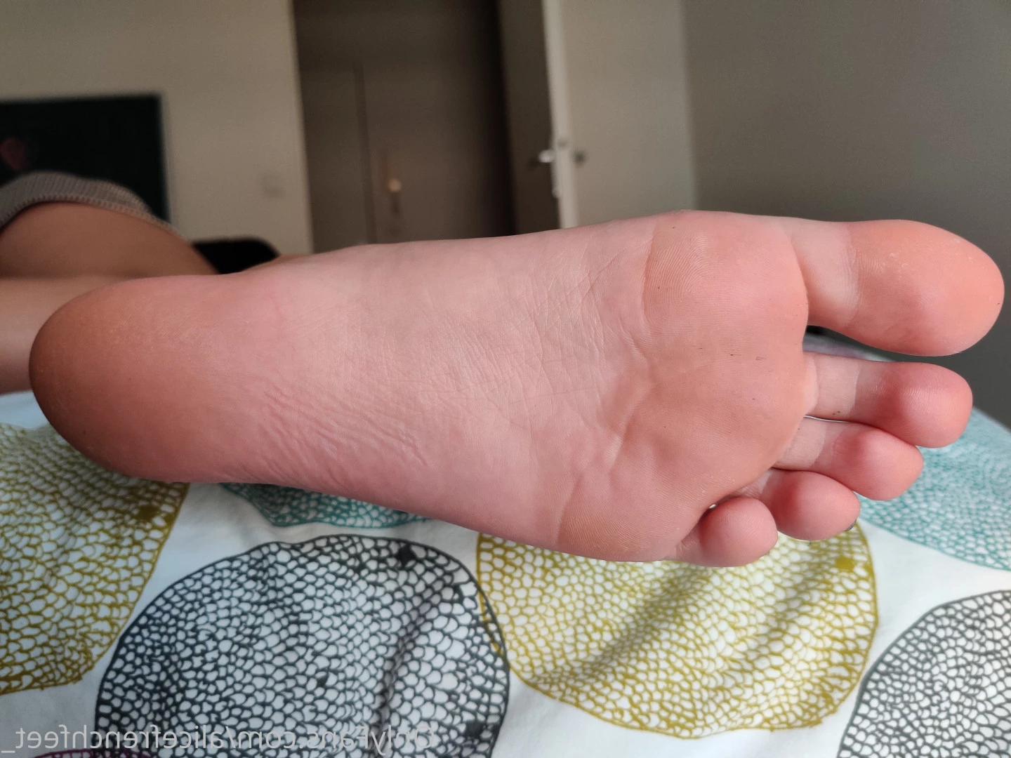 alicefrenchfeet [ alice.frenchfeet ] Onlyfans leaked photo 8827369 on Hotleaks.tv