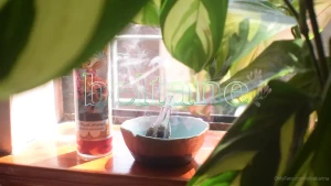 alicekarina Onlyfans leaked video 14523317 on Hotleaks.tv