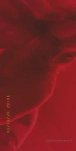 alicelynn13 Onlyfans leaked video 10511828 on Hotleaks.tv