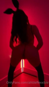 10511577