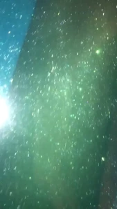Ana Foxxx [ anafoxxx ] Onlyfans leaked video 14566878 on Hotleaks.tv
