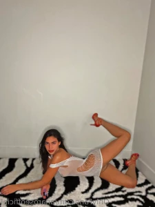 15895903