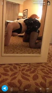 15116342