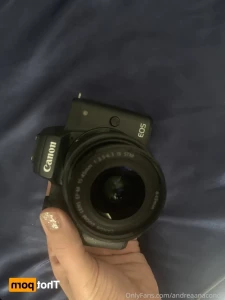 15243304