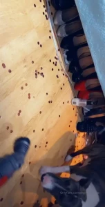 15794576