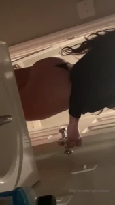 15066731