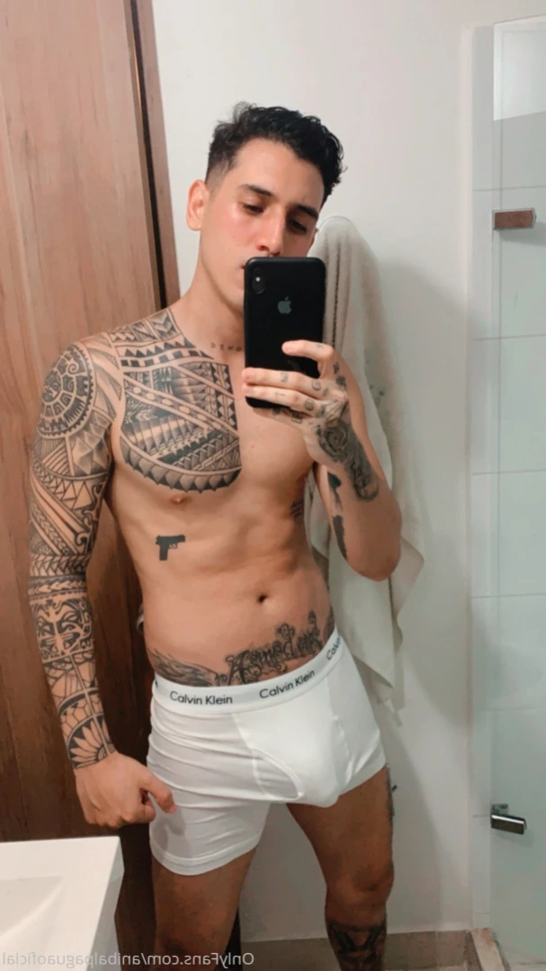 Anibal pagua [ anibalpaguaoficial ] Onlyfans leaked photo 13059106 on Hotleaks.tv