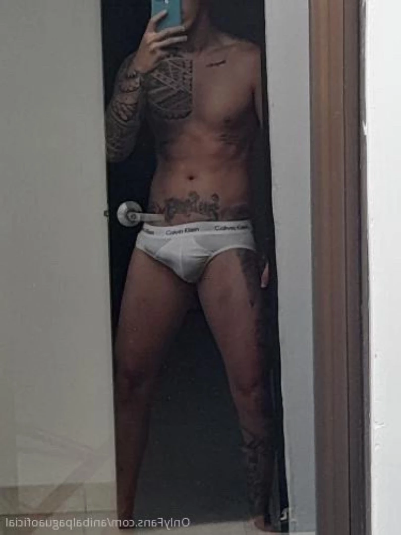 Anibal pagua [ anibalpaguaoficial ] Onlyfans leaked photo 13059486 on Hotleaks.tv