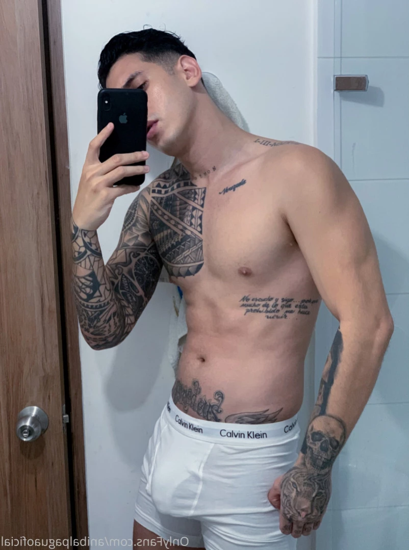 Anibal pagua [ anibalpaguaoficial ] Onlyfans leaked photo 13580835 on Hotleaks.tv