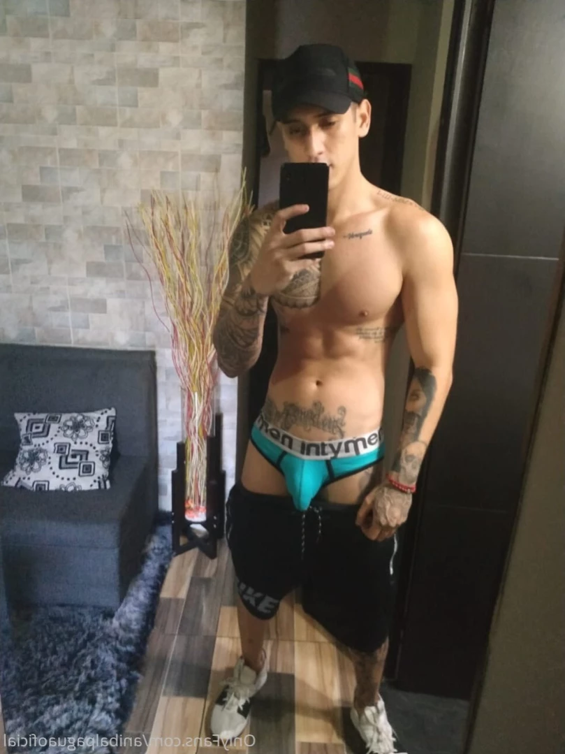 Anibal pagua [ anibalpaguaoficial ] Onlyfans leaked photo 14018839 on Hotleaks.tv