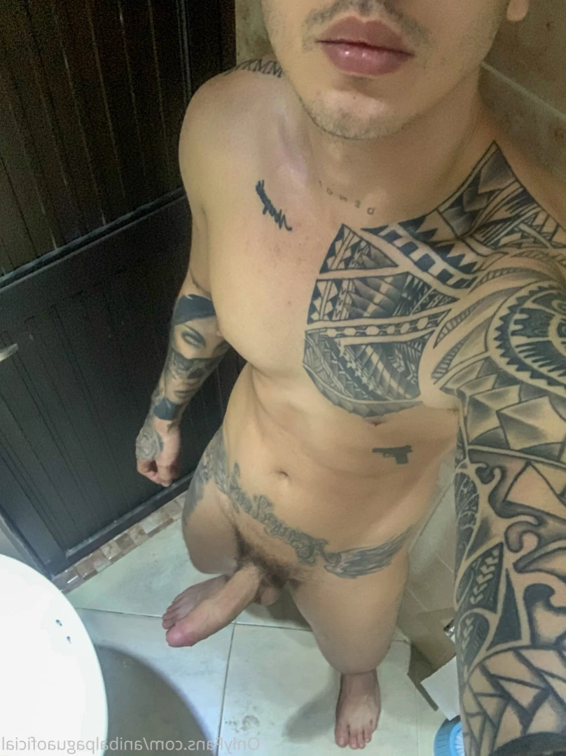 Anibal pagua [ anibalpaguaoficial ] Onlyfans leaked photo 14394923 on Hotleaks.tv