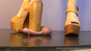Goddess Anika [ anikacbt ] Onlyfans leaked video 10506172 on Hotleaks.tv